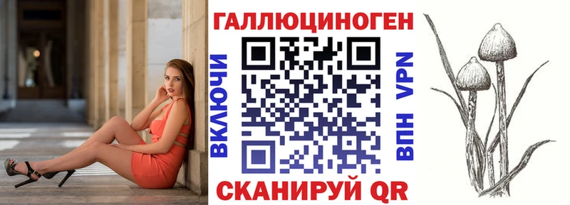 площадка какой сайт  Гай  Псилоцибиновые грибы Cubensis  продажа наркотиков 