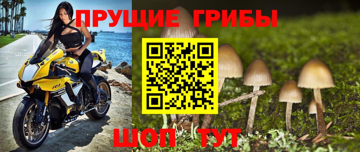 Псилоцибиновые грибы Magic Shrooms  Вход с VPN  Гай 
